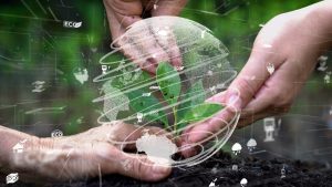 Carbon Offsets and the importance of choosing the right projects