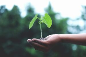 How to optimise an app for sustained growth